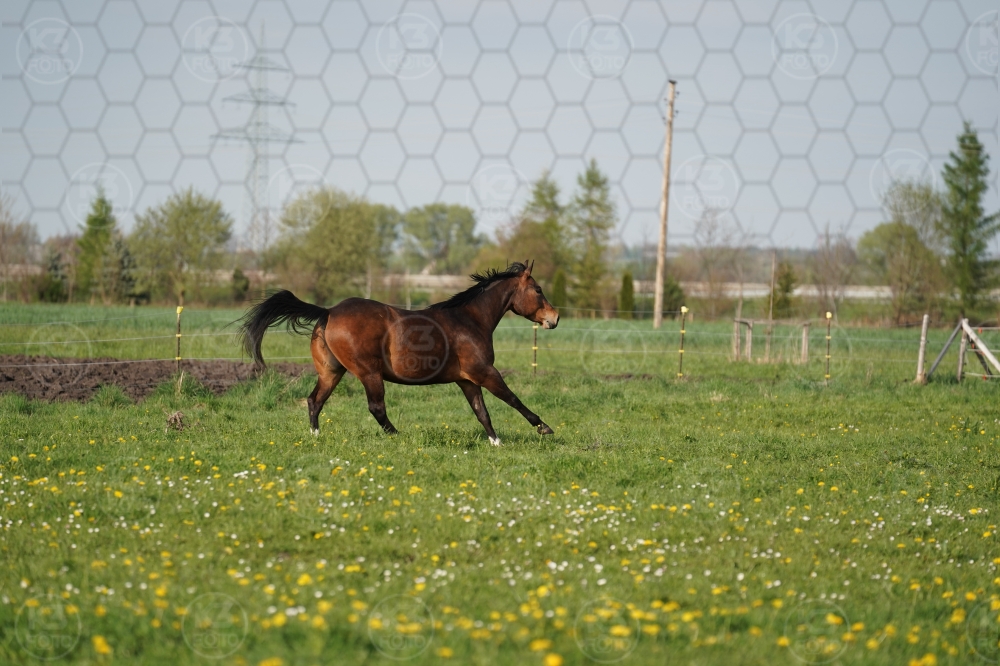 s_A9_09635.jpg